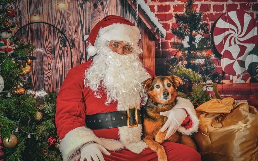 Santa Paws is Coming to Central Bark Portage Location!