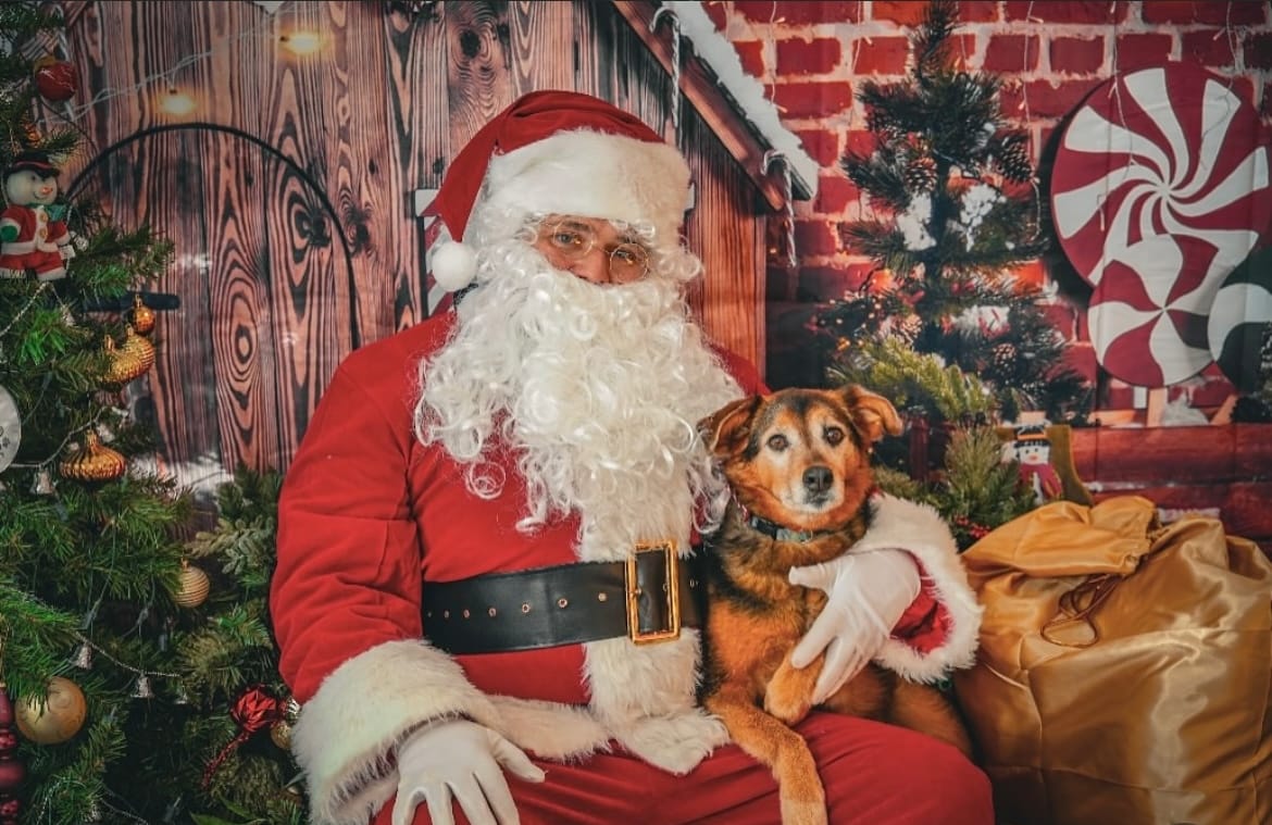dog santa photo Winnipeg