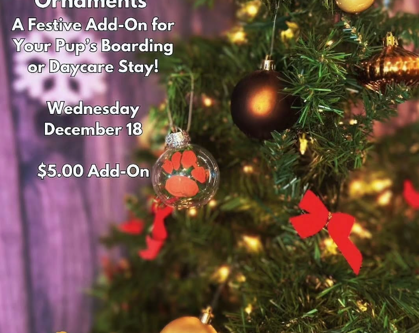 Dog Daycare Add-On🎄 Paw Print Ornaments 🎄A Festive Add-On for Your Pup’s Stay! Dec.18/ 2024