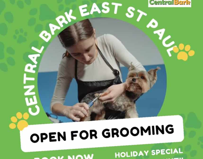 📣Dog Grooming is BACK at Central Bark East St. Paul!📣