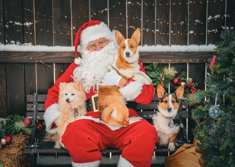 📸 Santa Paws is Coming to Central Bark East St. Paul Location!