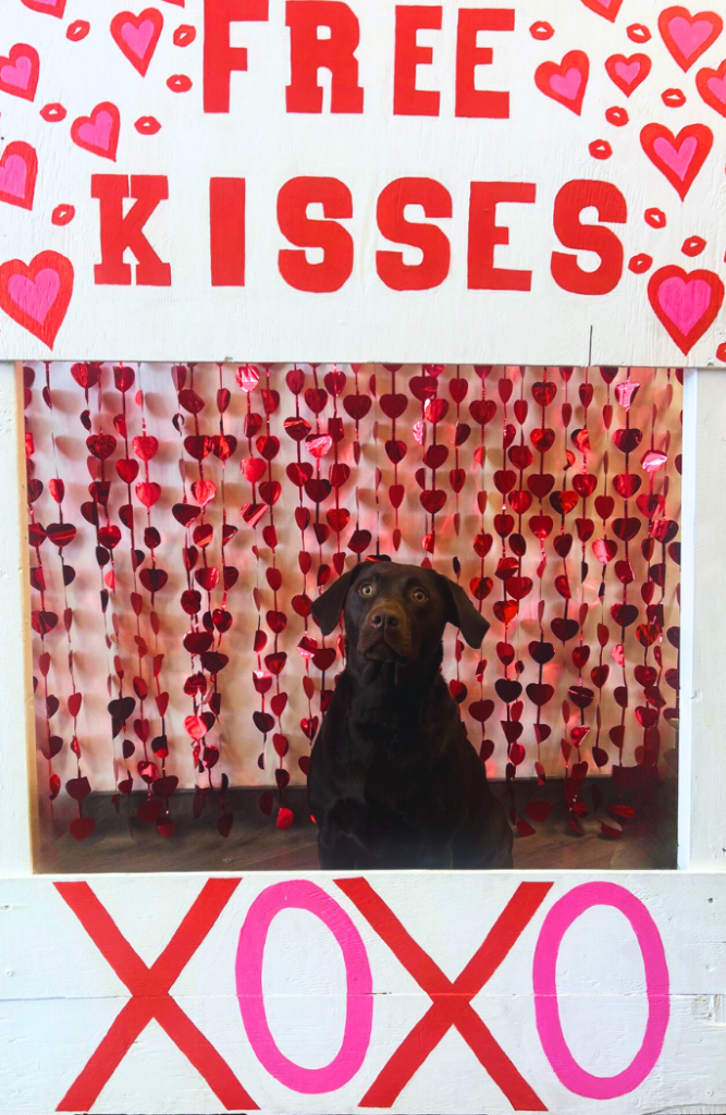 Valentine’s Day activity at Central Bark in Winnipeg for our Kissing Booth photo shoot for daycare, grooming and boarding dogs