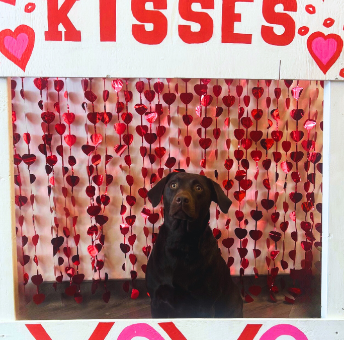 Love is in the Air at Central Bark Portage: Celebrate Valentine’s Day with Our Special Add-ons & Festivities!