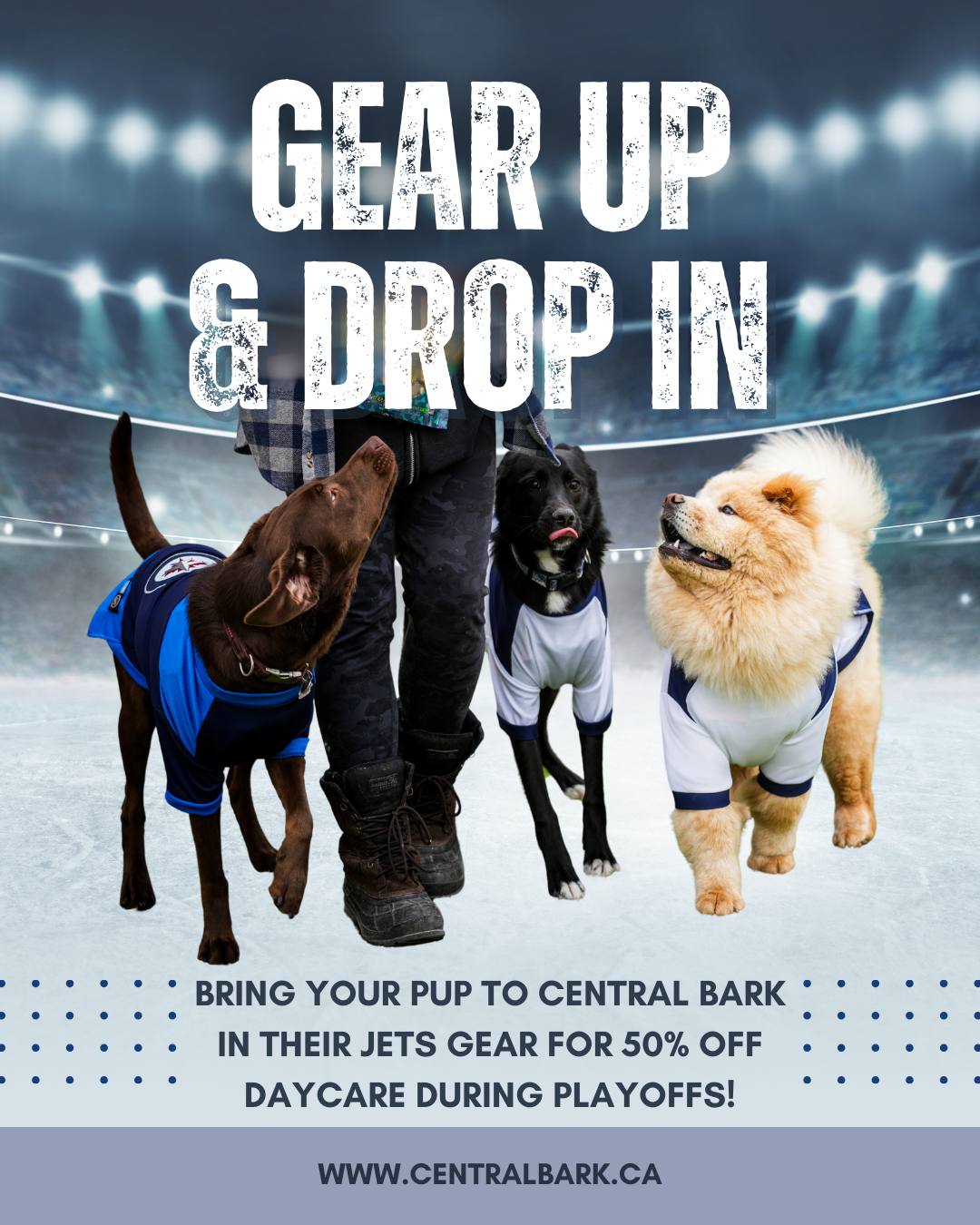 Winnipeg Dog Daycare Playoff Promotion