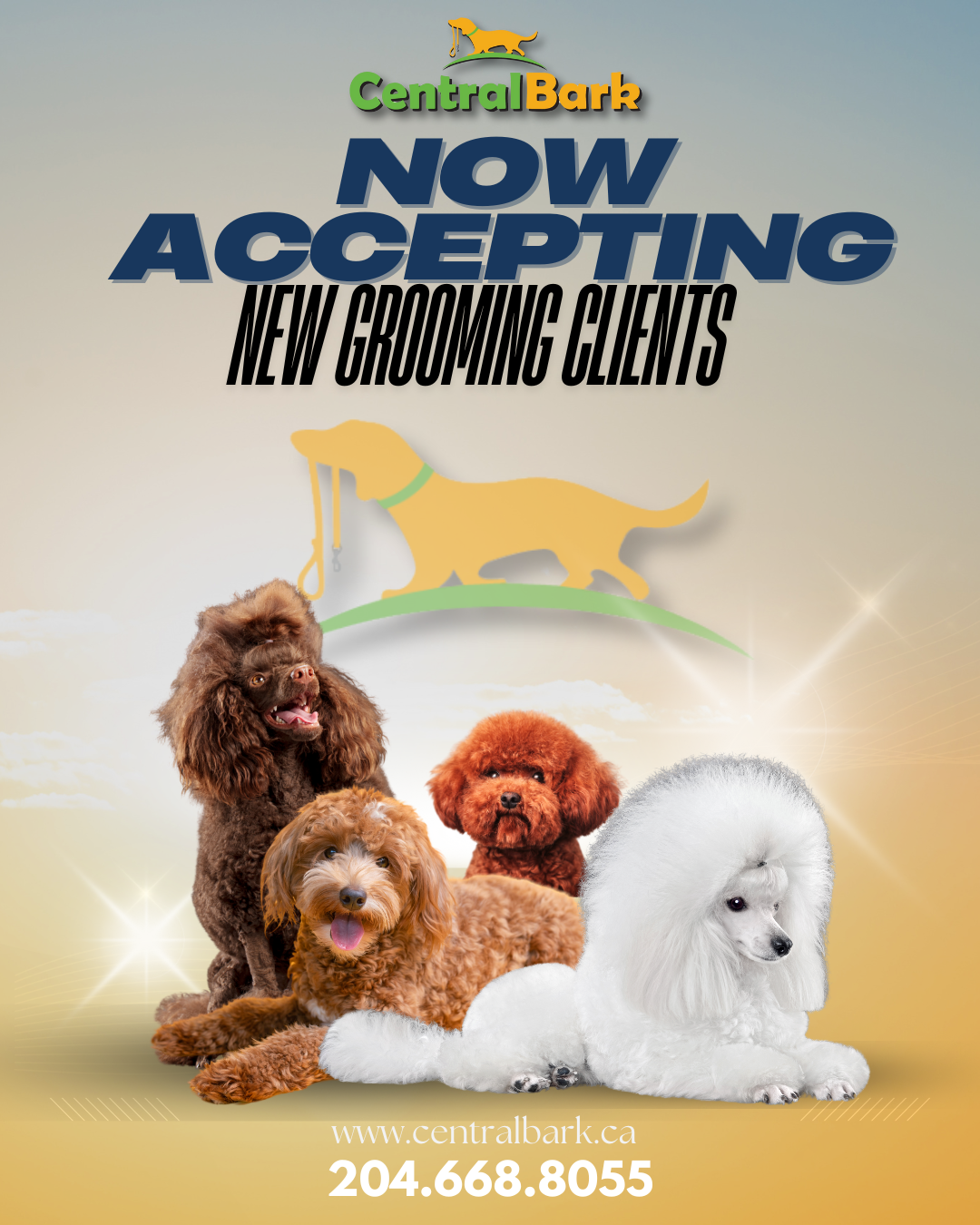 East St Paul Dog Grooming Clients East St Paul Dog Grooming